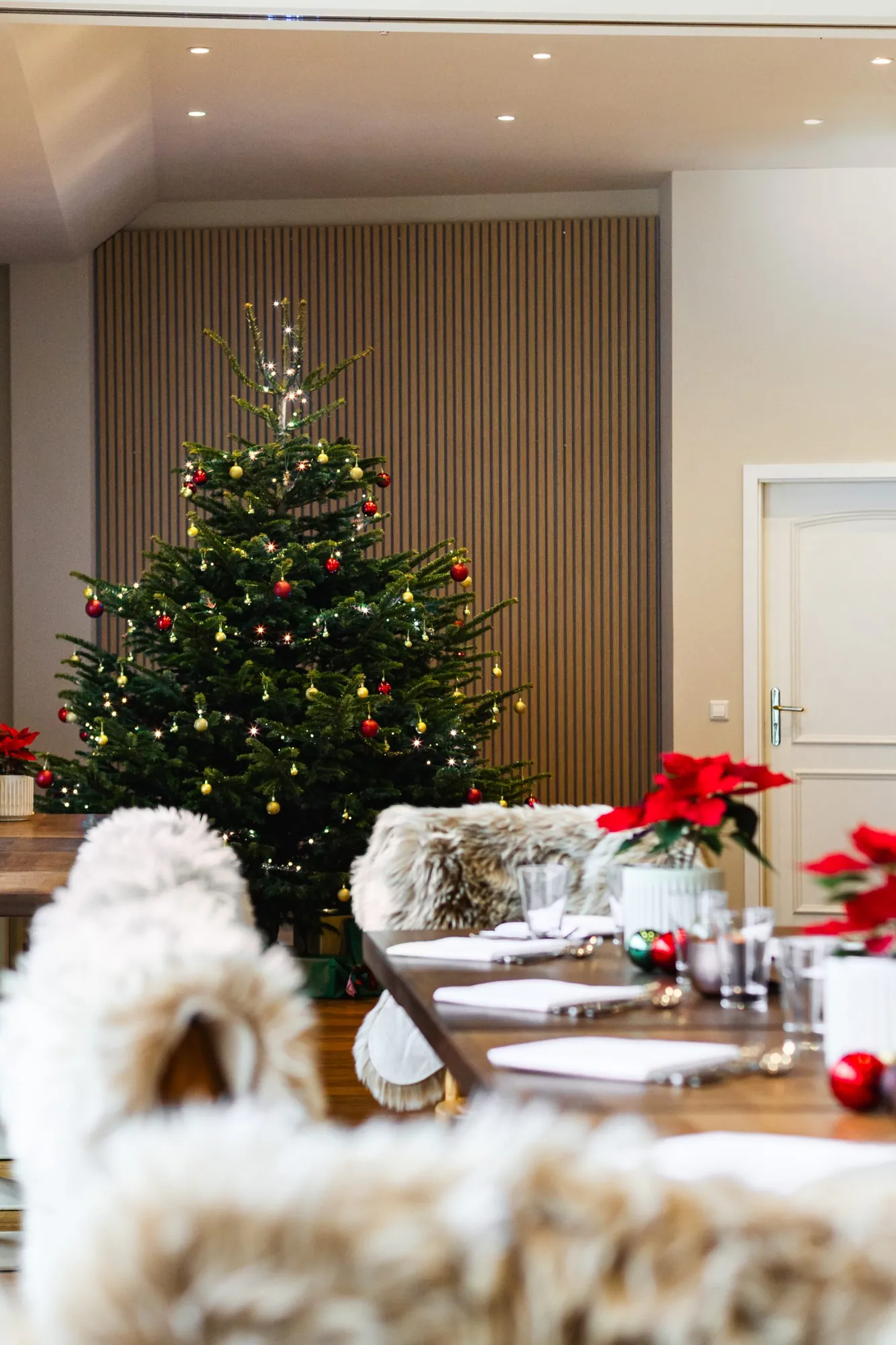 Weihnachtsbaum und festlich gedeckte Tafel mit Weihnachtssternen